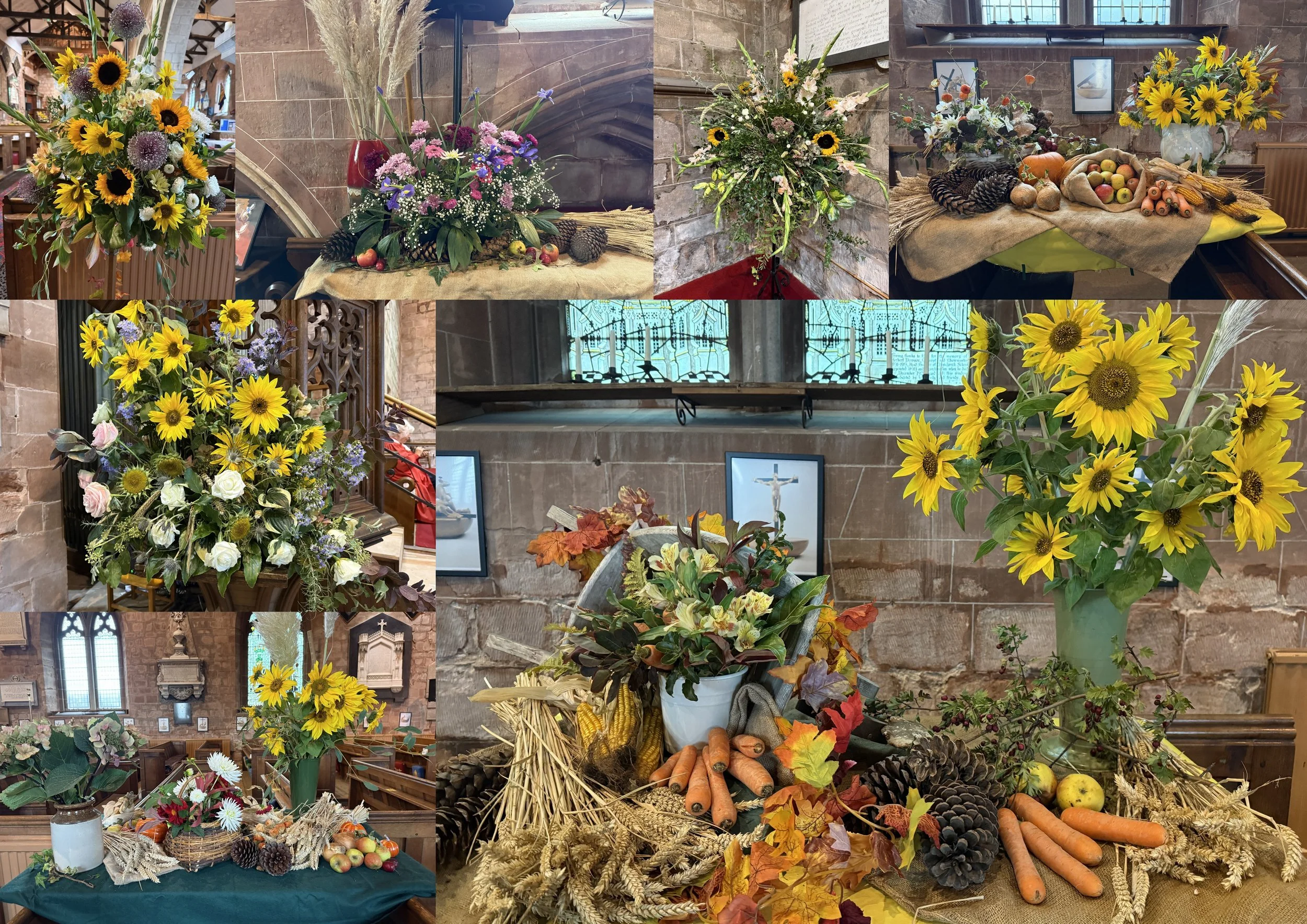 HARVEST 20262.jpg