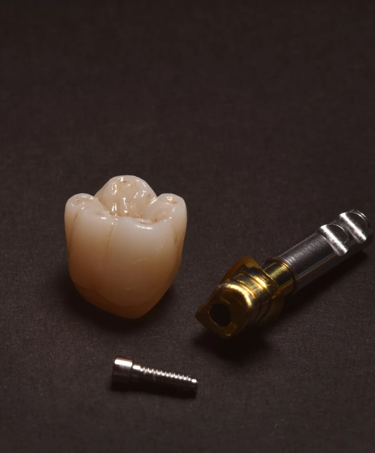 full web image crown.jpg