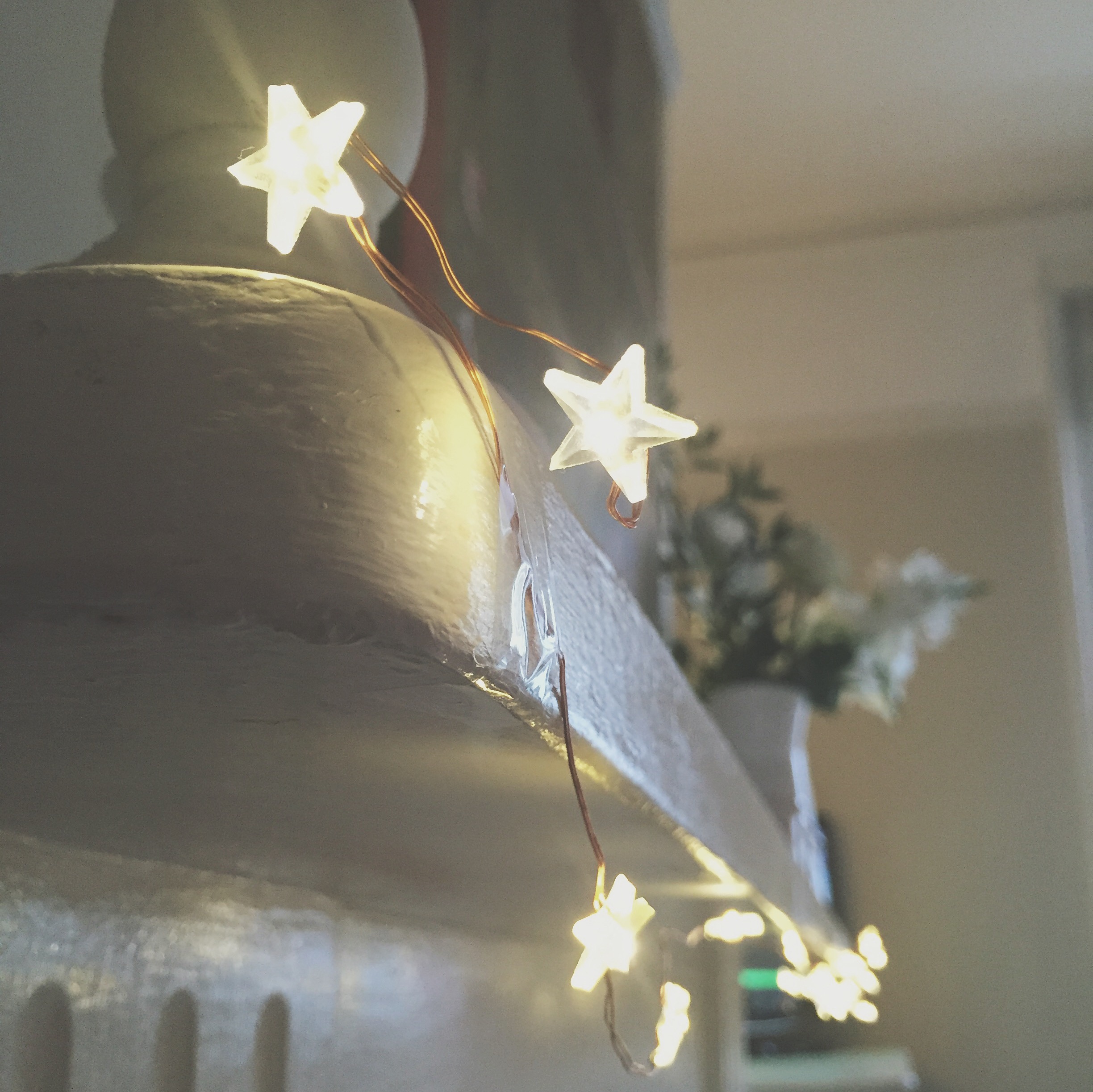 Image by Olivia Williams - @xxbirdhouse