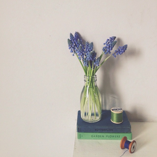 Image by Laura Pashby ( @circleofpines on Instagram)