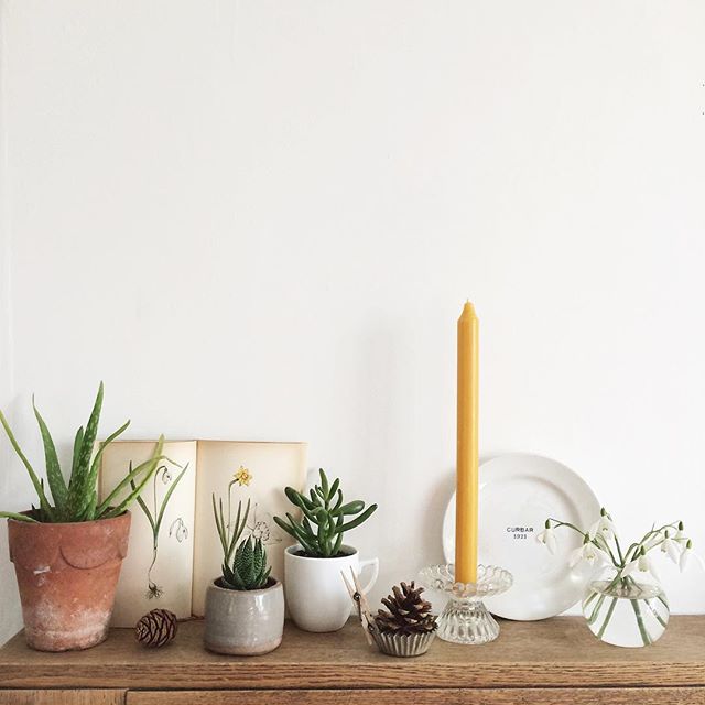 Image by @allenandbear