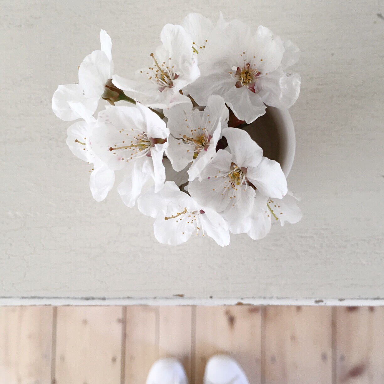 Image by Olivia Williams ( @x xbirdhouse on Instagram)