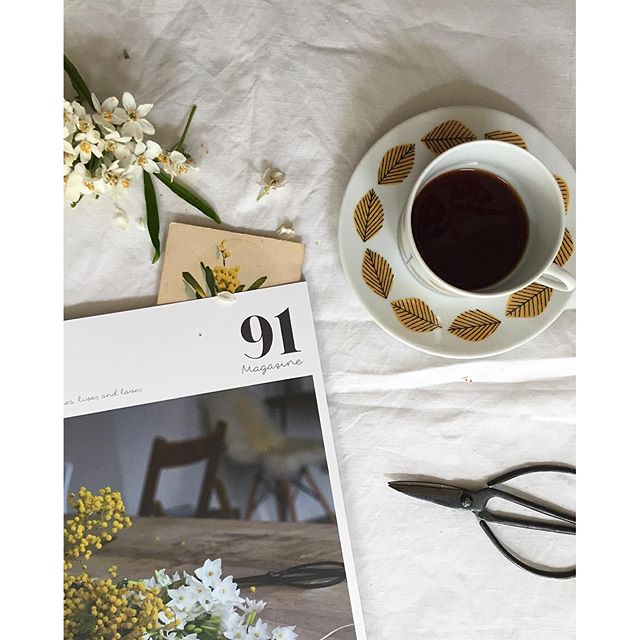 Image by @birdsforme