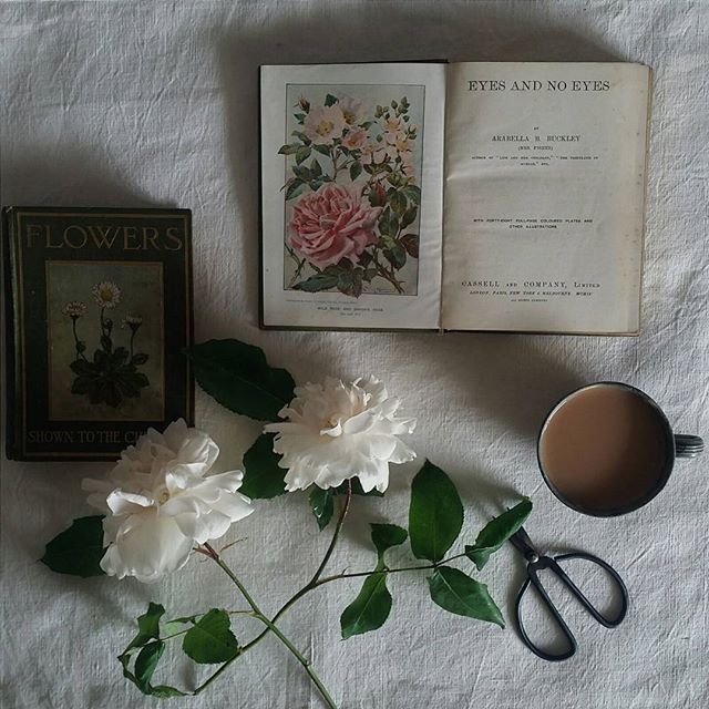 Image by @harryandfrank