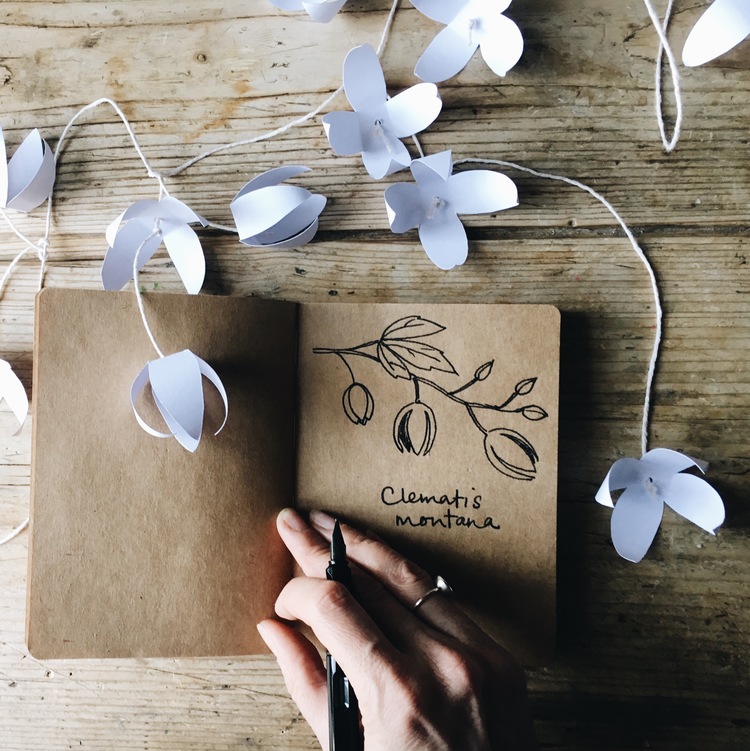 Image by Emma Mitchell