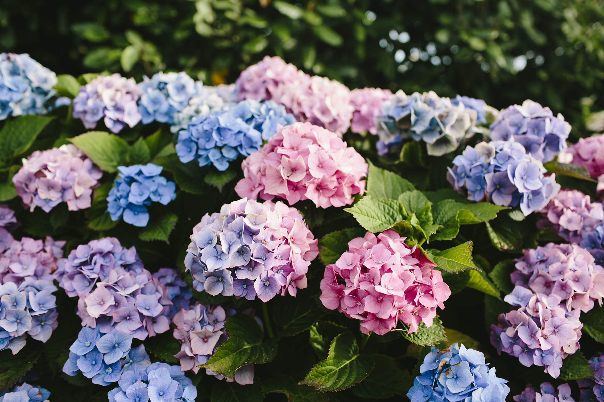 Image by Xanthe Berkeley ( @xantheb )