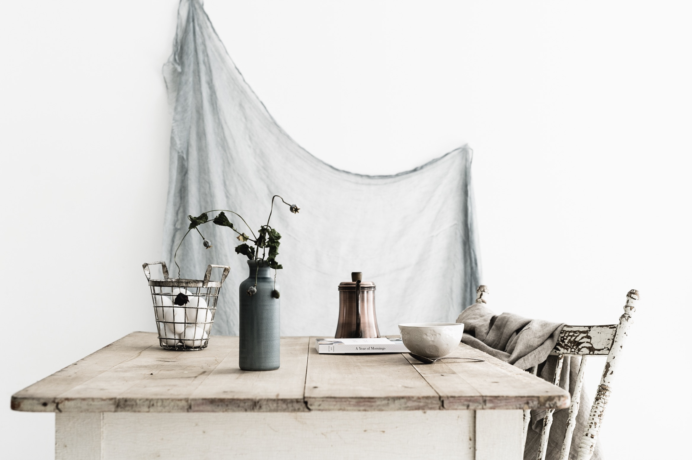 Image by Kim Klassen ( @kimklassen )