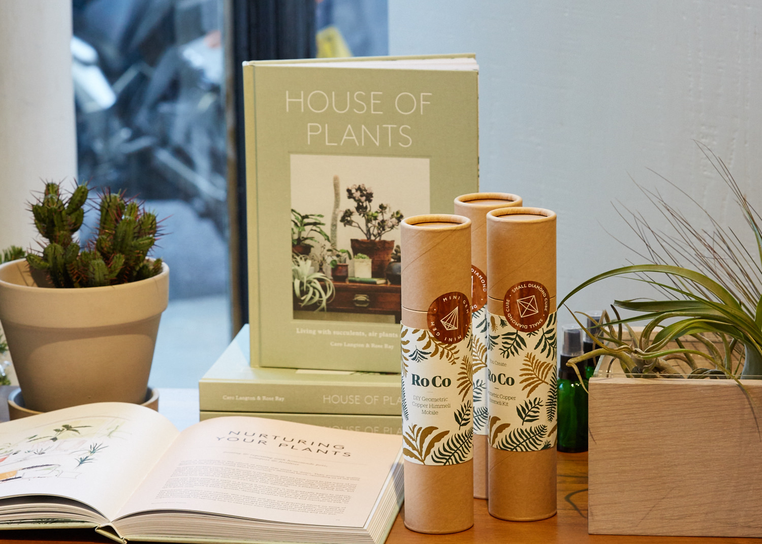 Roco 's stand / Photo: Yeshen Venena