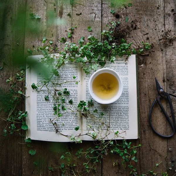 Image via @helloemilie