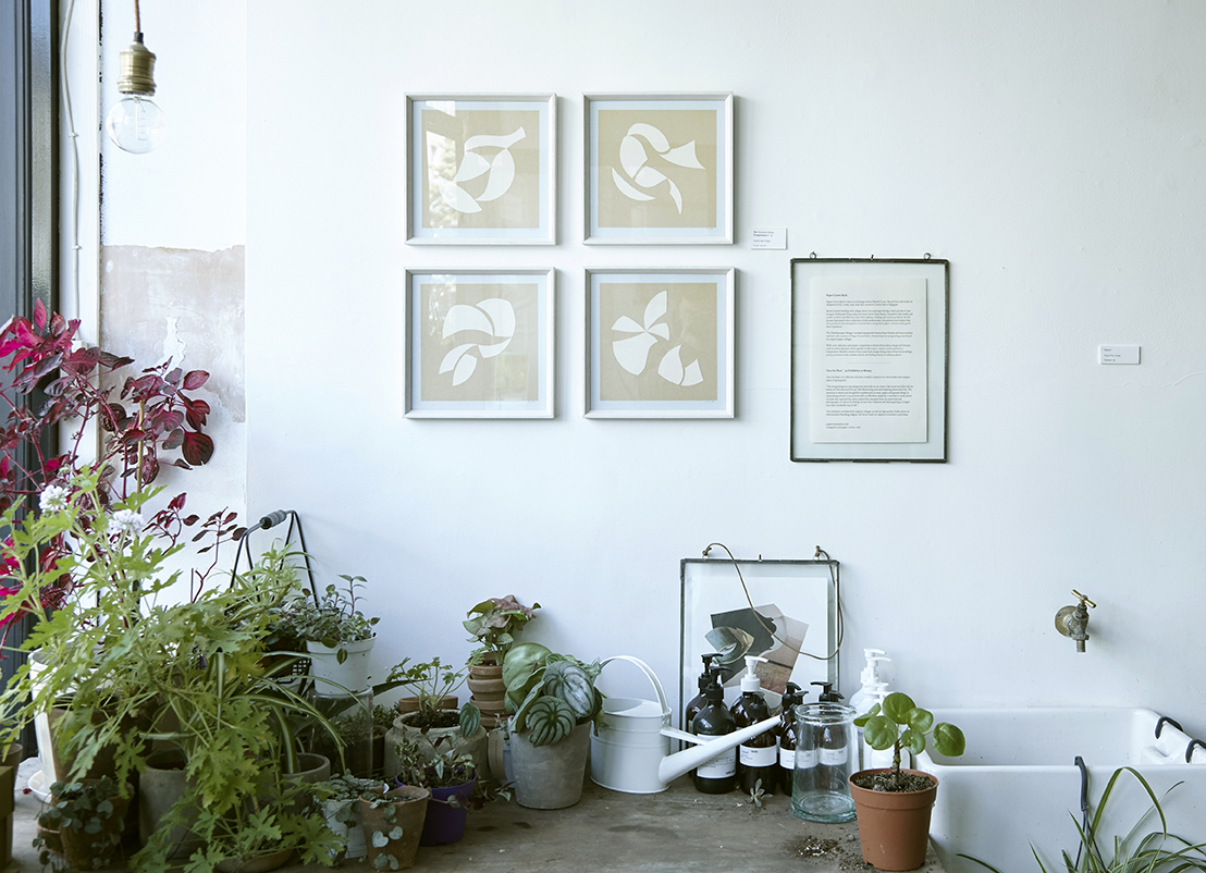 Paper_Covers_Rock_Botany_Exhbition_025.jpg