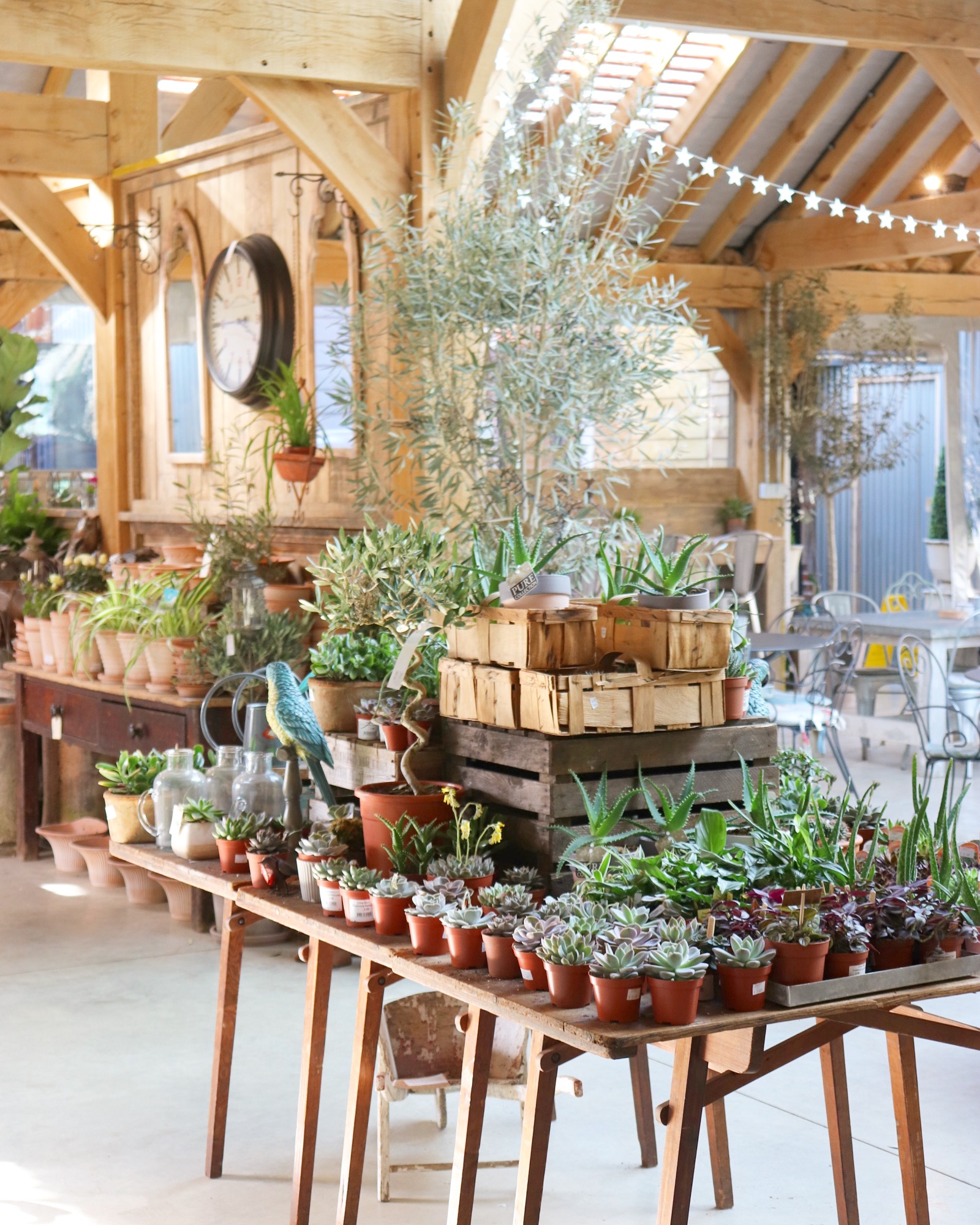 Shopkeeper Spotlight Long Barn 91 Magazine