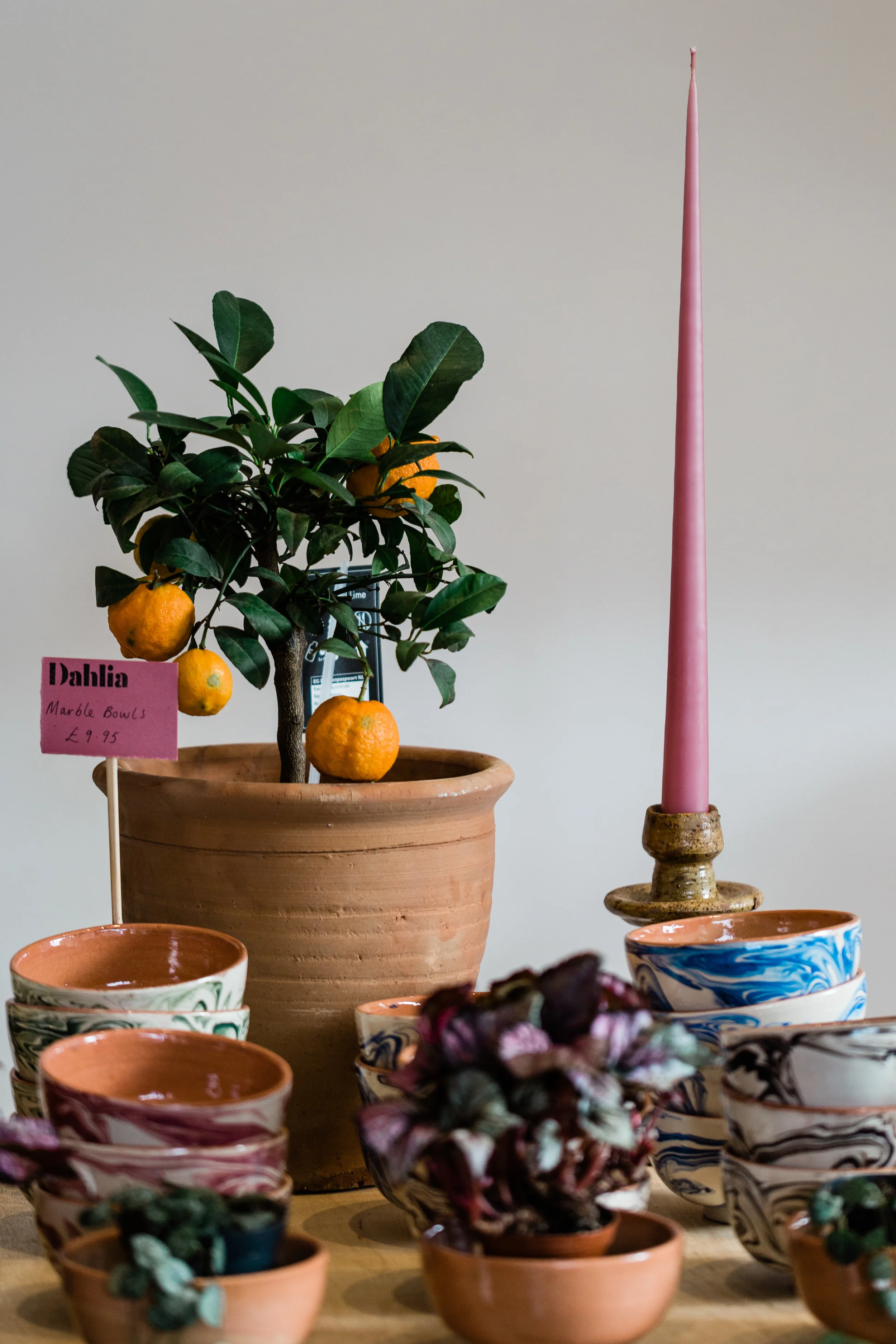 dahlia-41.jpg