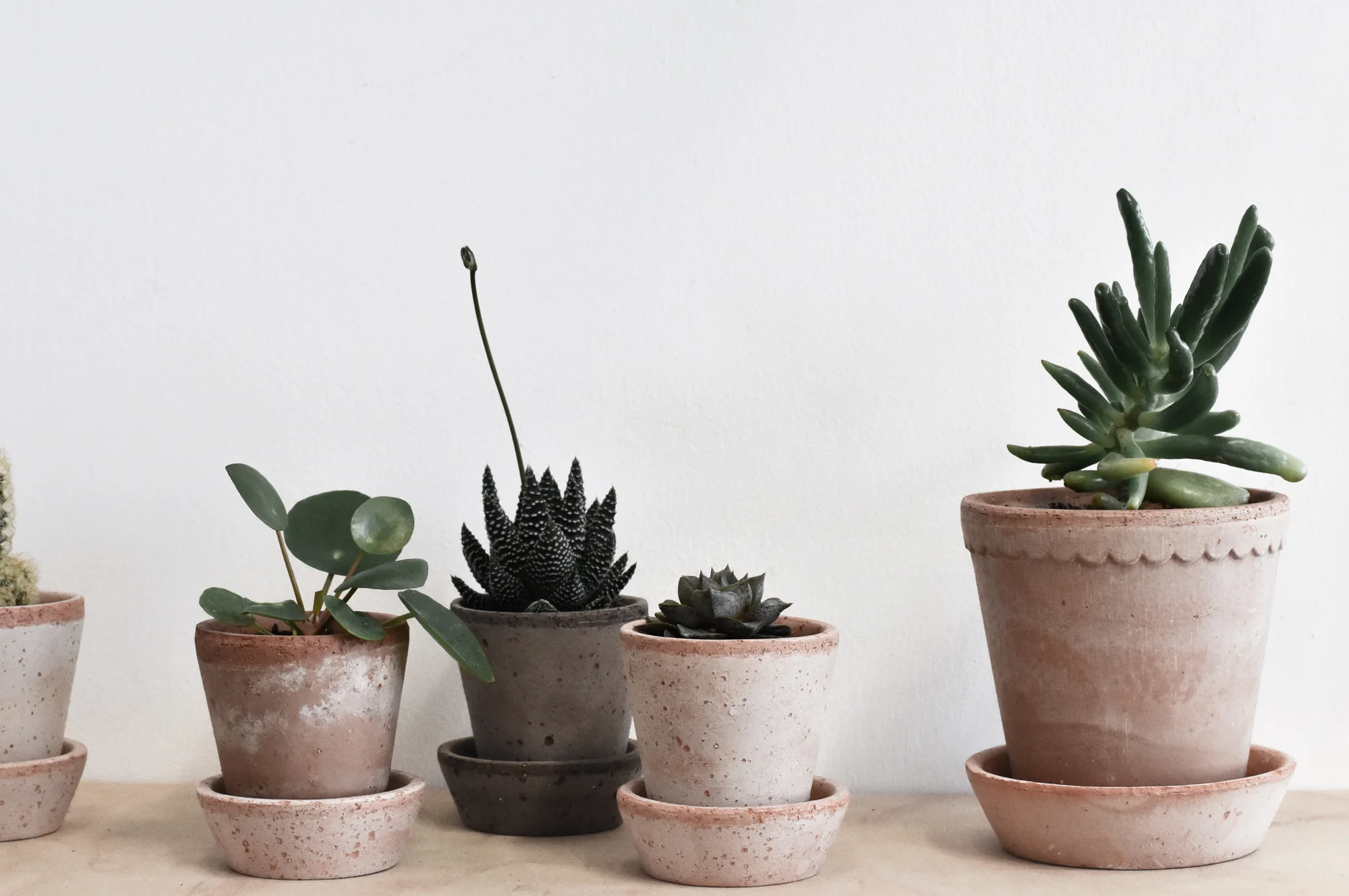 plantpots.jpg