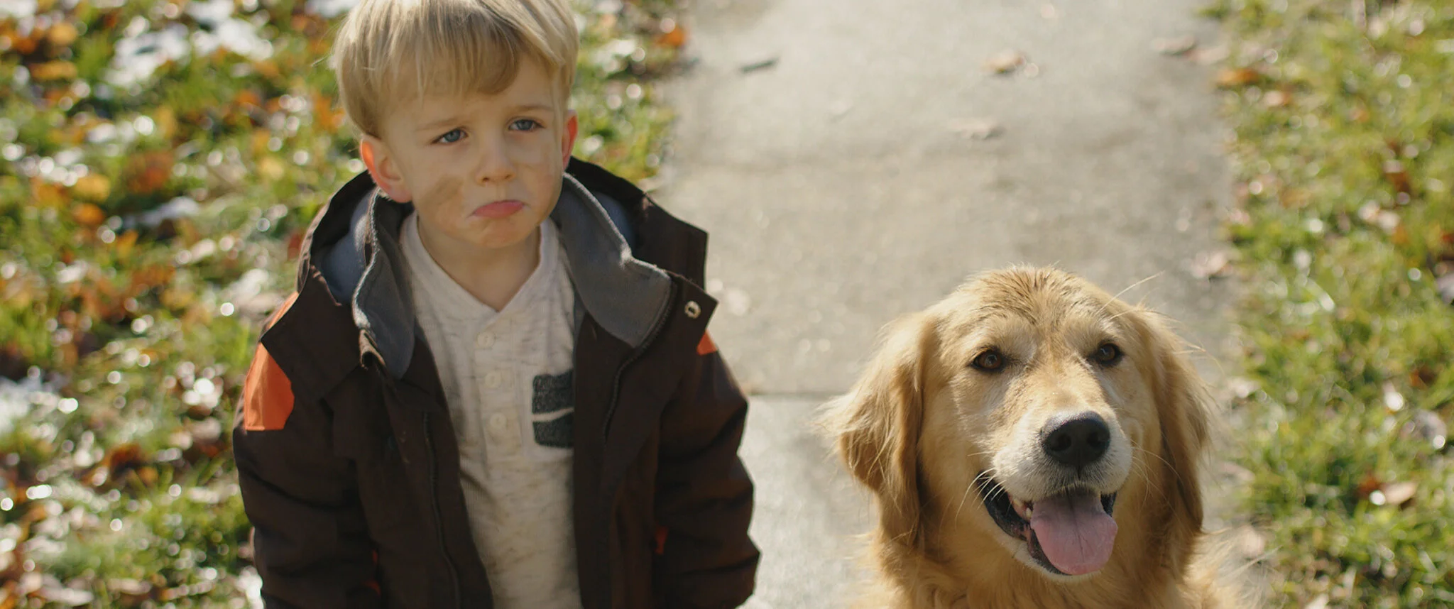 what kind of dog is in the bissell commercial