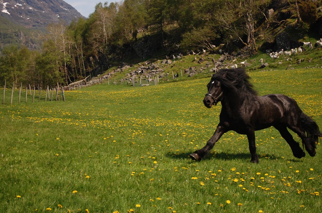 Det er bare å nyte sommerferien!
