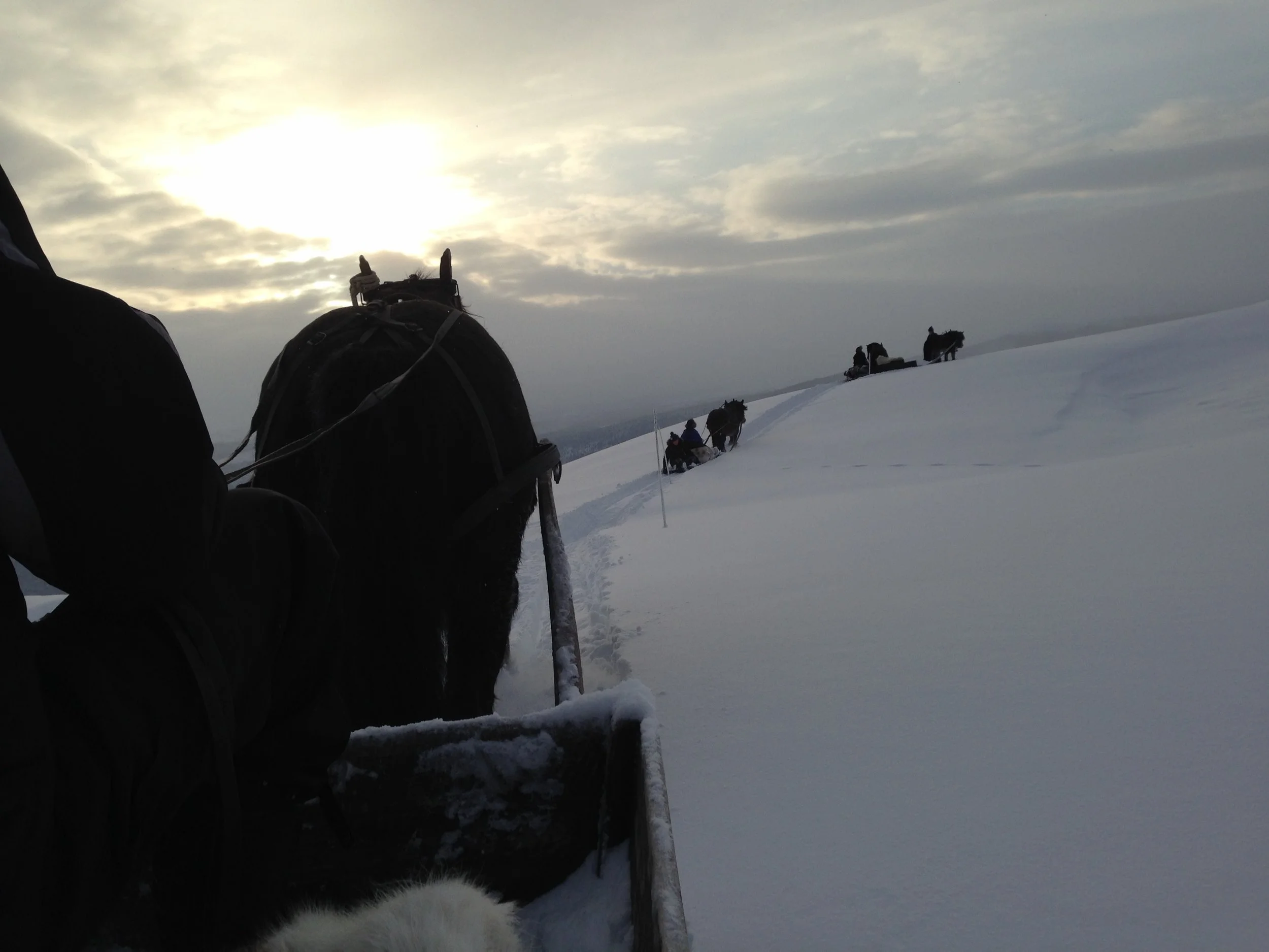 Med hest og slede til Skardfjell.