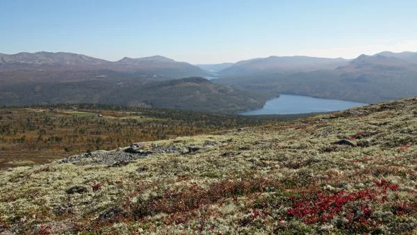 Mens halvmaratonløypen går rundt vannet Olstappen på bildet, går maratonløypen også lenger inn i fjellheimen. FOTO: Anne Mari Lo