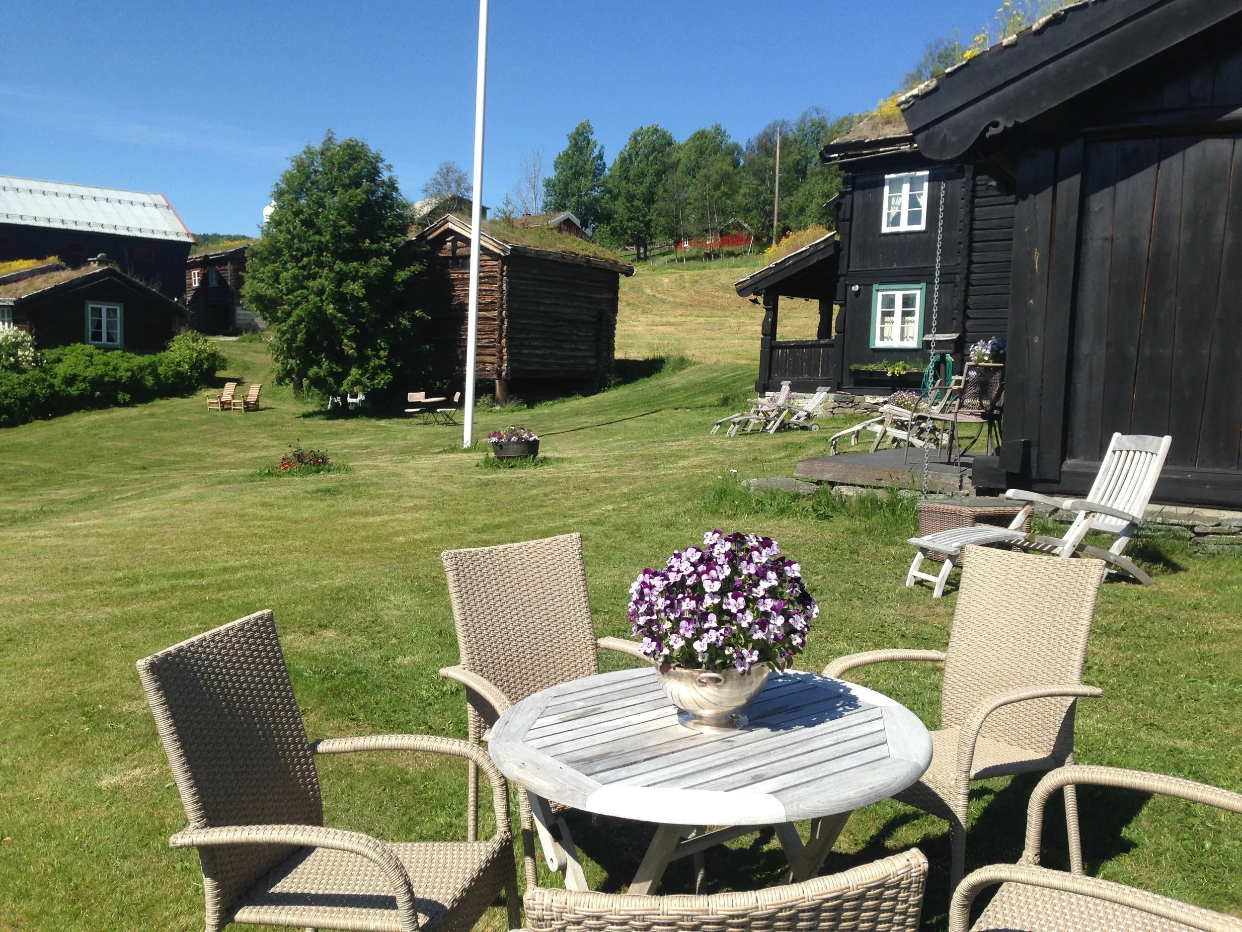   Juni 2019 - Hagen på Lykkja  