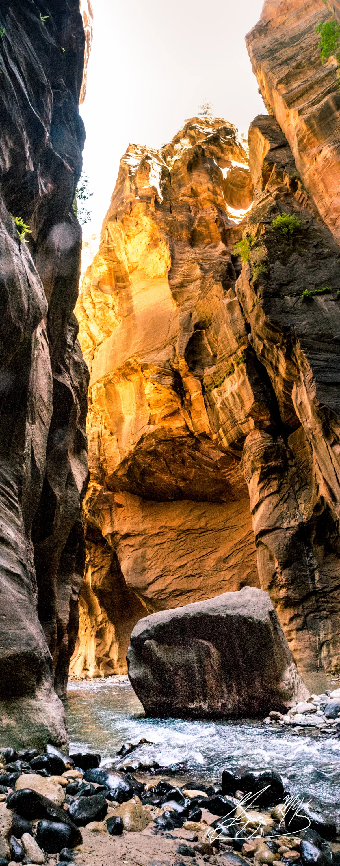 IMG_3356-Pano.jpg