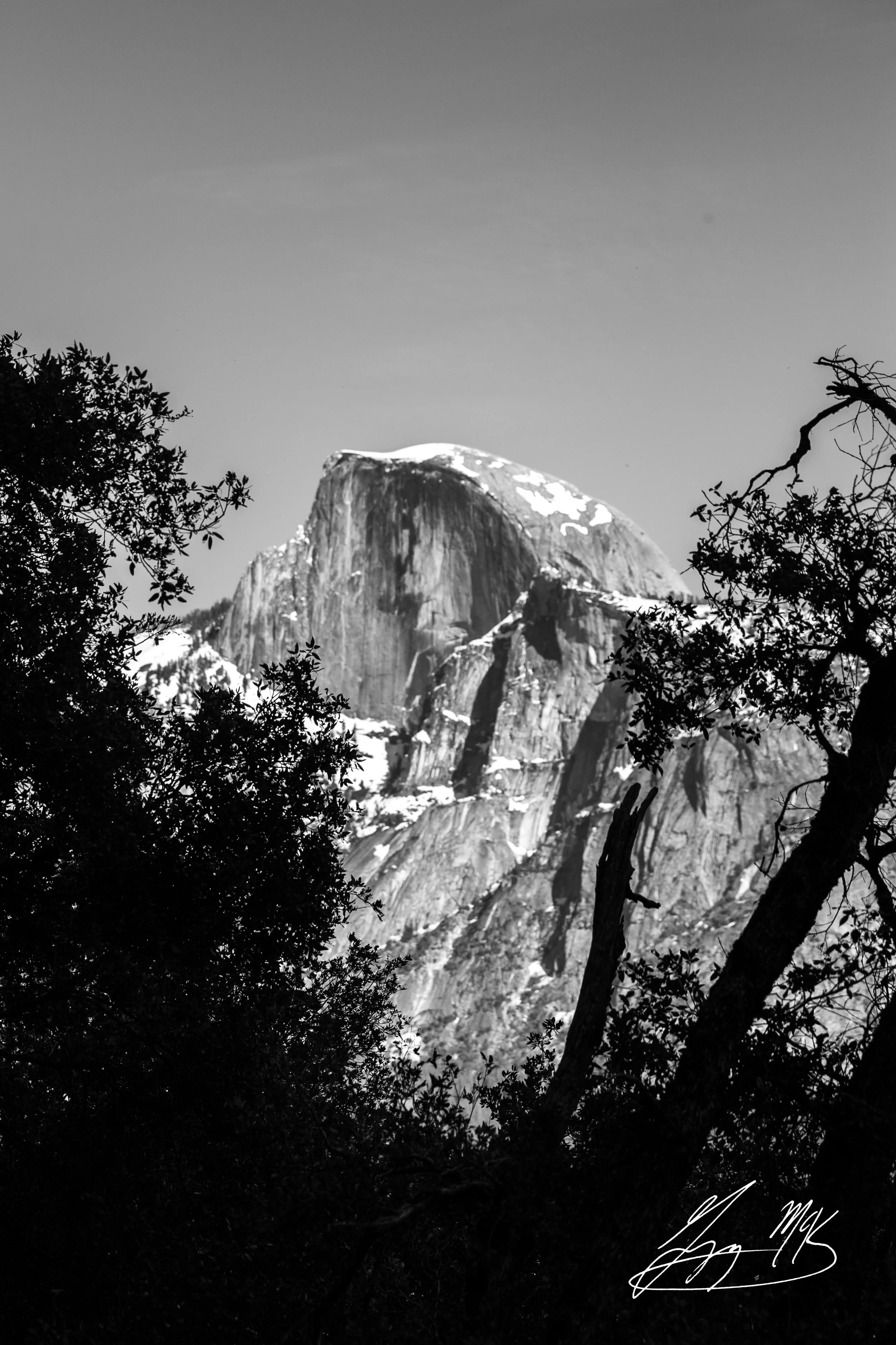IMG_4273.jpg