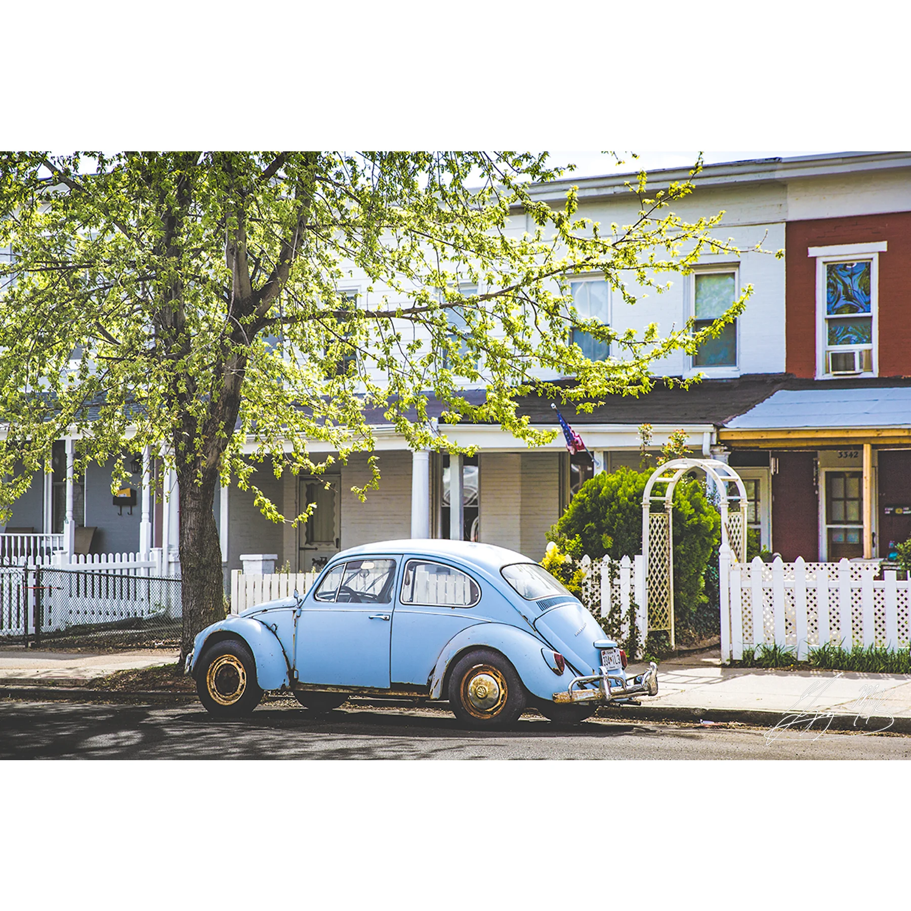 Blue Beetle in Hampden.jpg