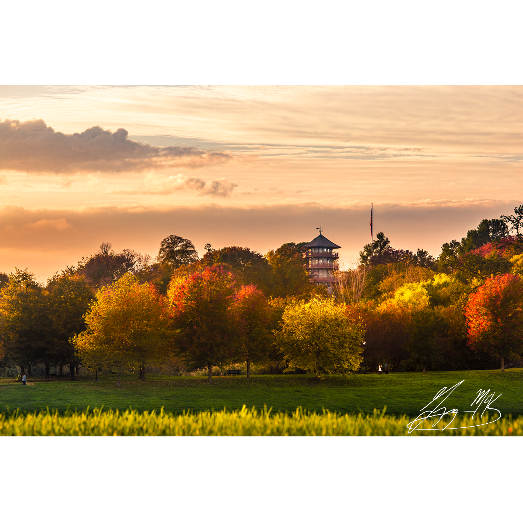 Autumn Foliage in Patterson Park