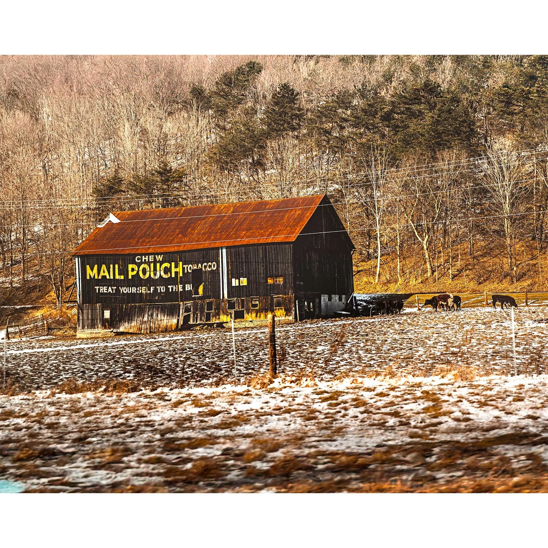 Chew Mail Pouch Tobacco