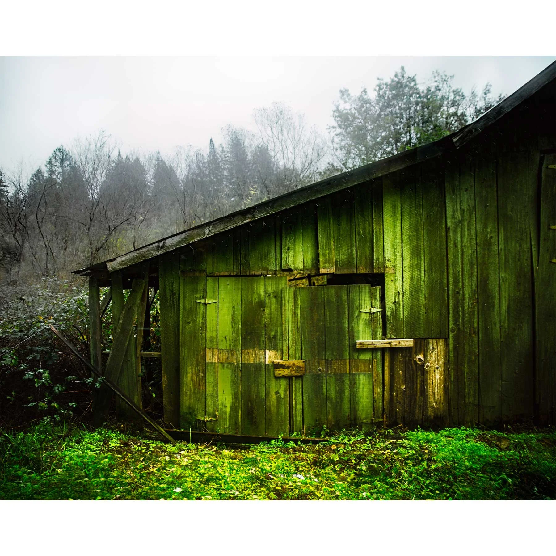 Mossy Barn Door