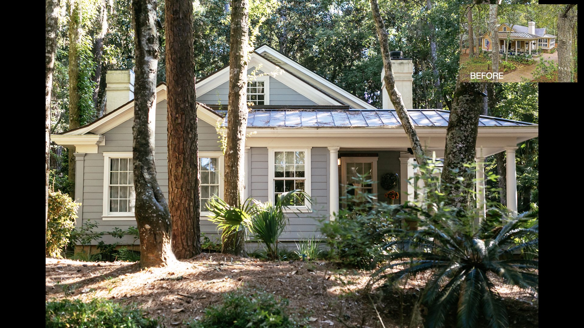 Oyster  Summary.001.jpeg