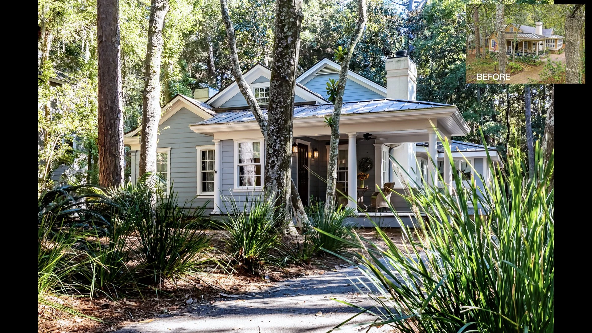 Oyster  Summary.002.jpeg