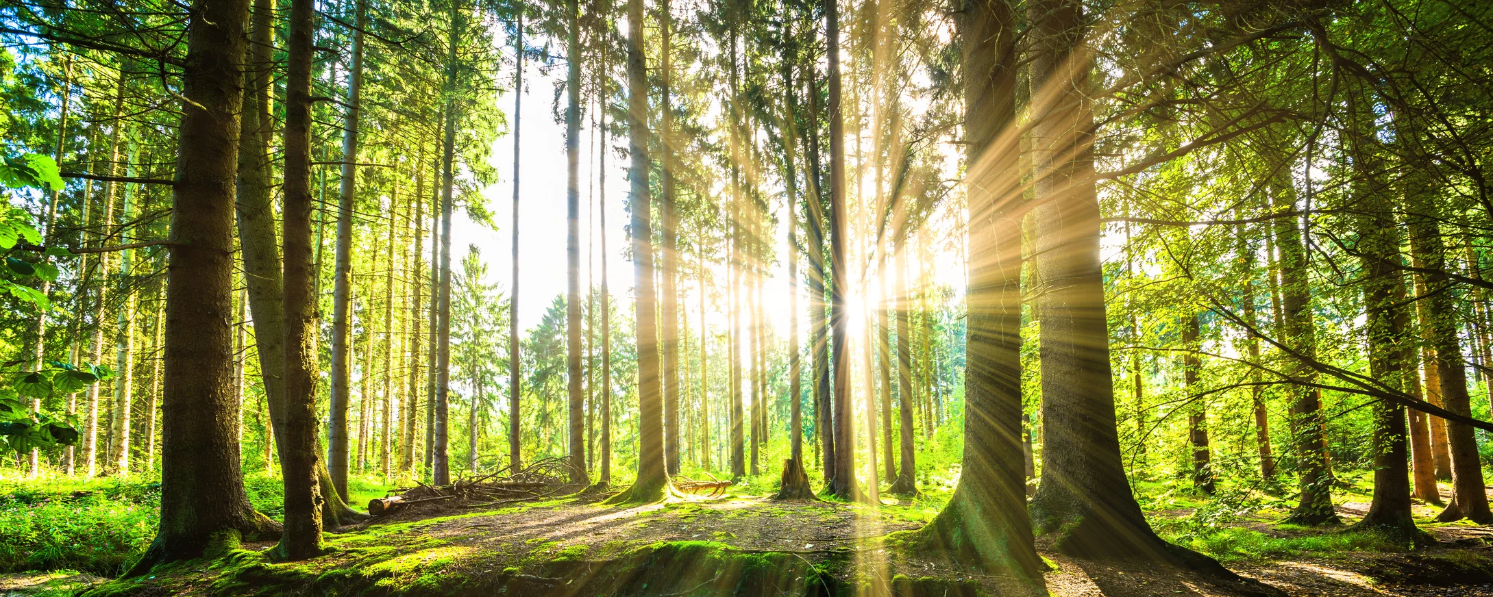 Fotolia_92474685_M.jpg