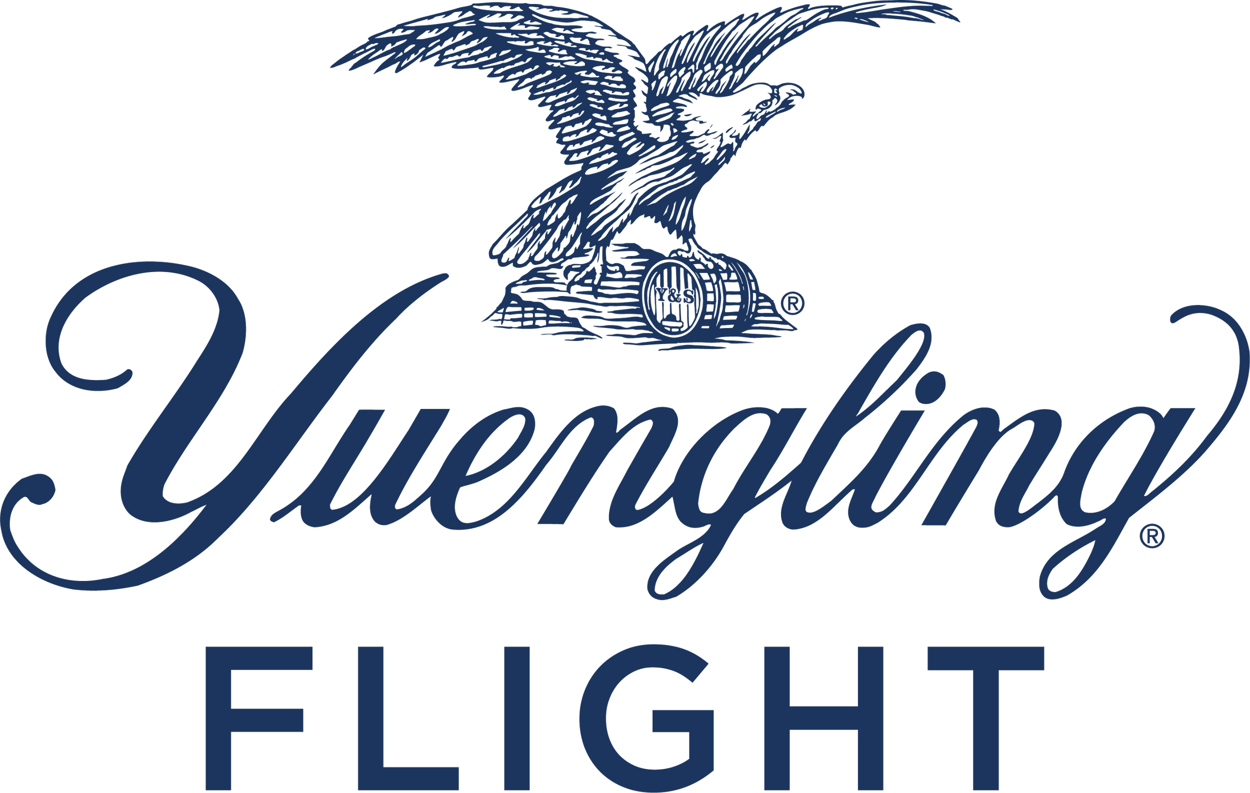 Flight with Eagle
