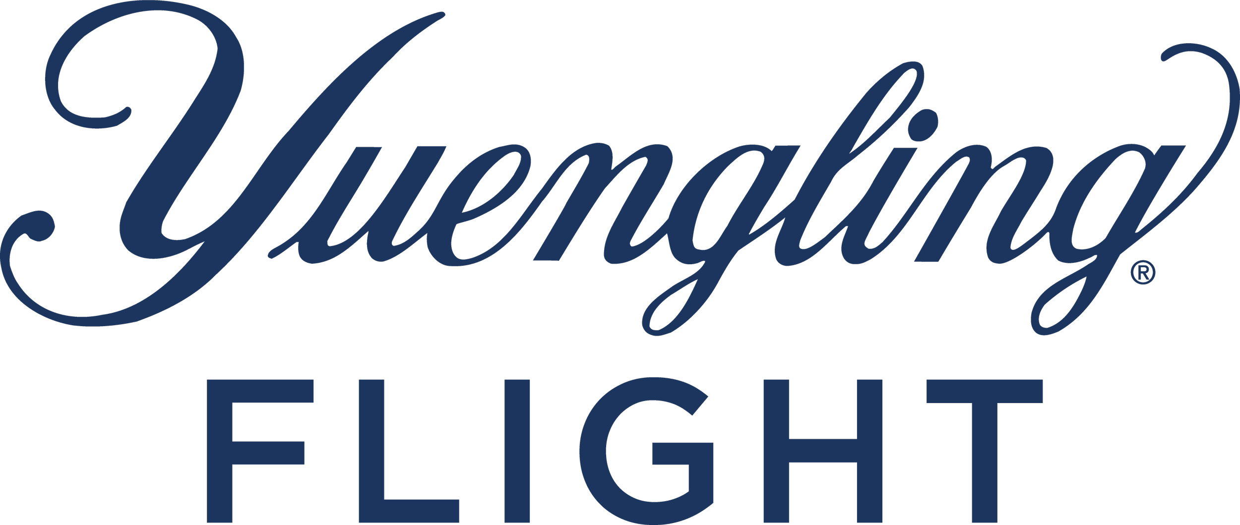 Flight - Script