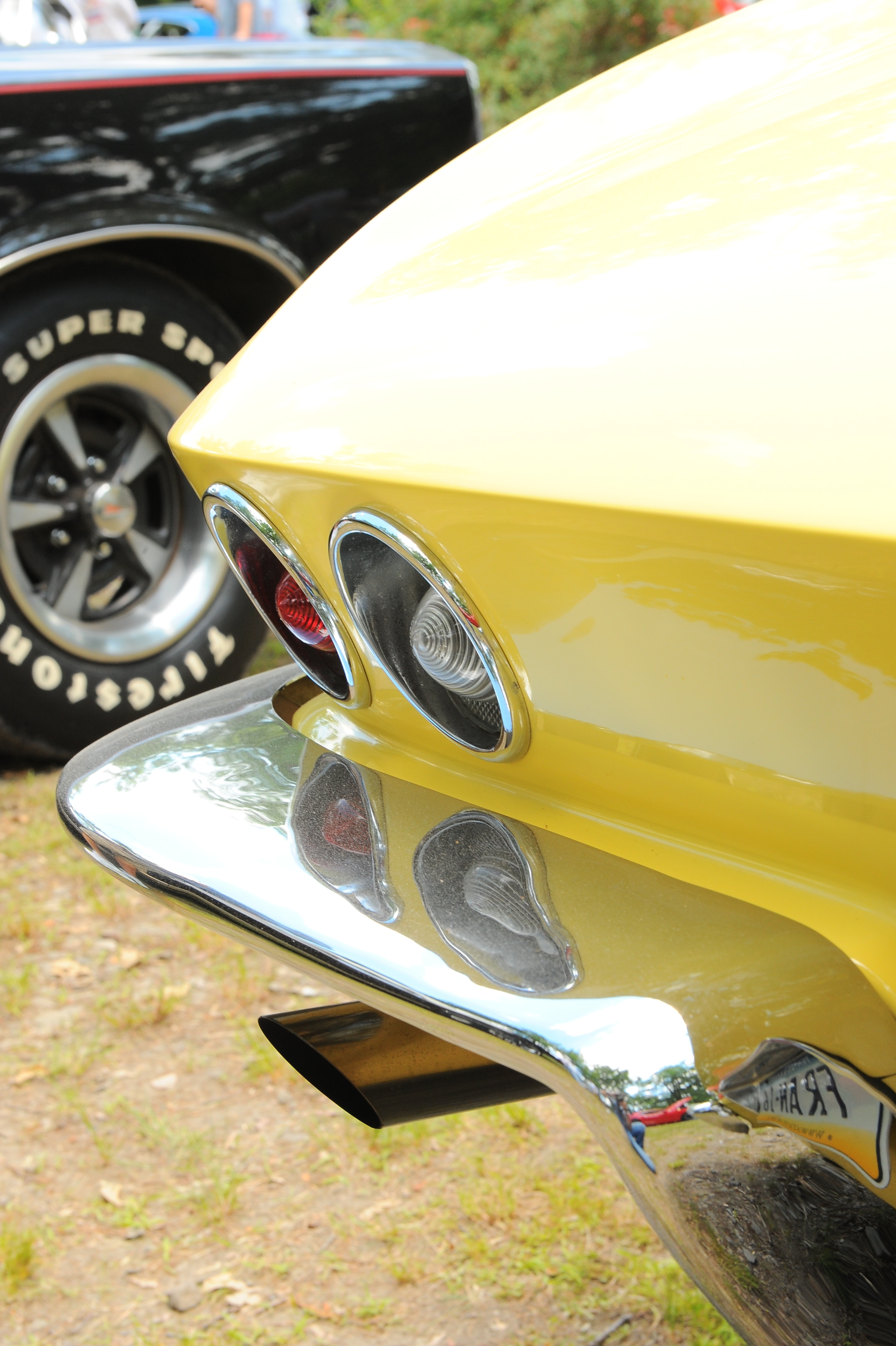DSC_5356.JPG