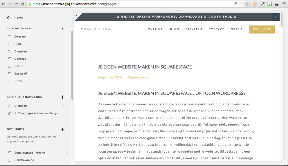 website maken met squarespace is super eenvoudig.png