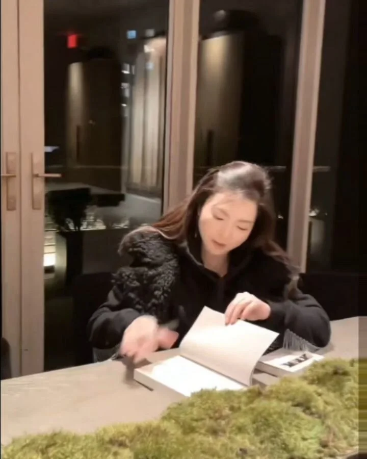 벌써 일 년
#위대한서양미술사 #위대한서양미술사2