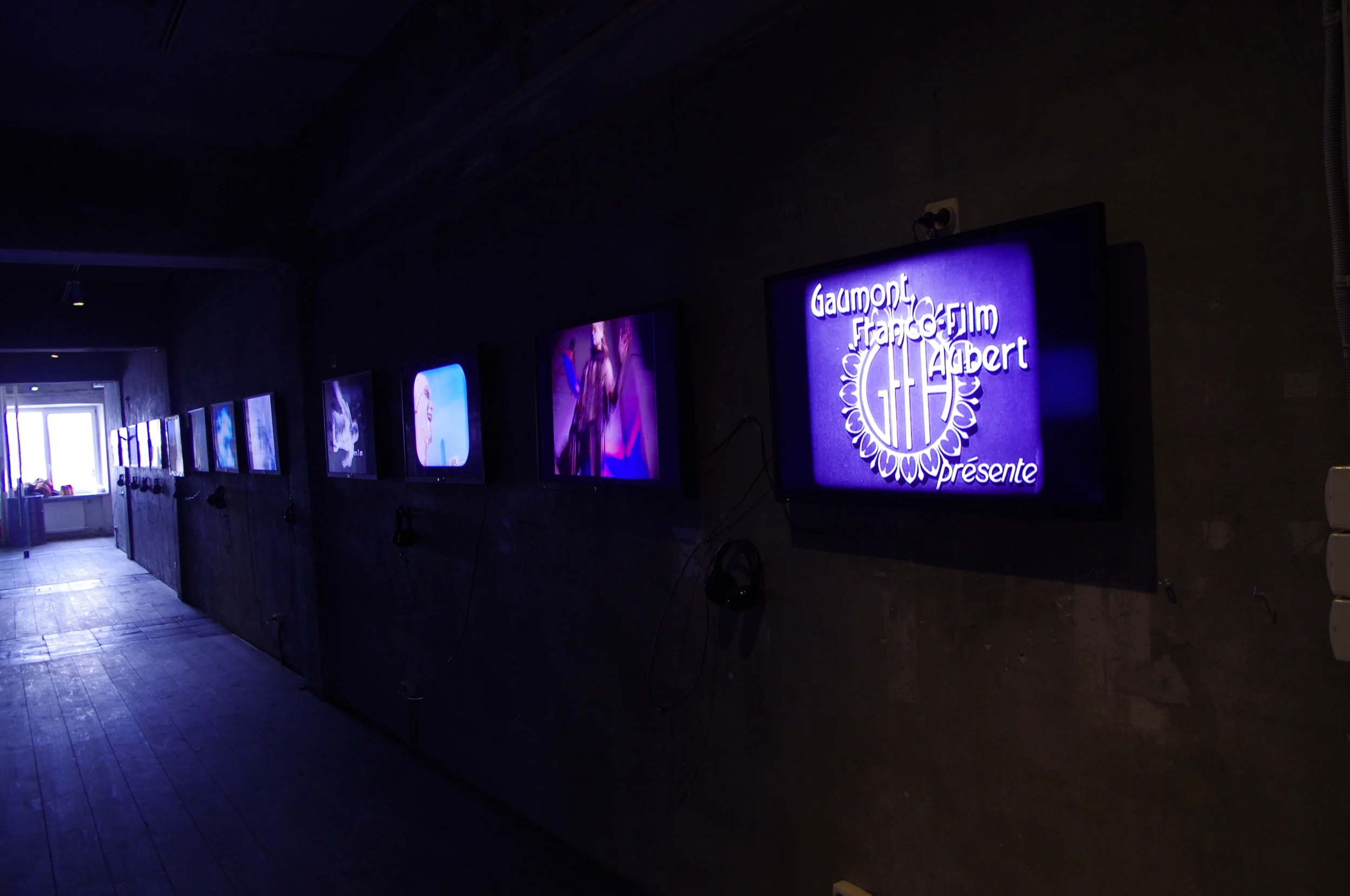 Video Installation-St Petersburg Contemporary Art Museum (Russie) 2015