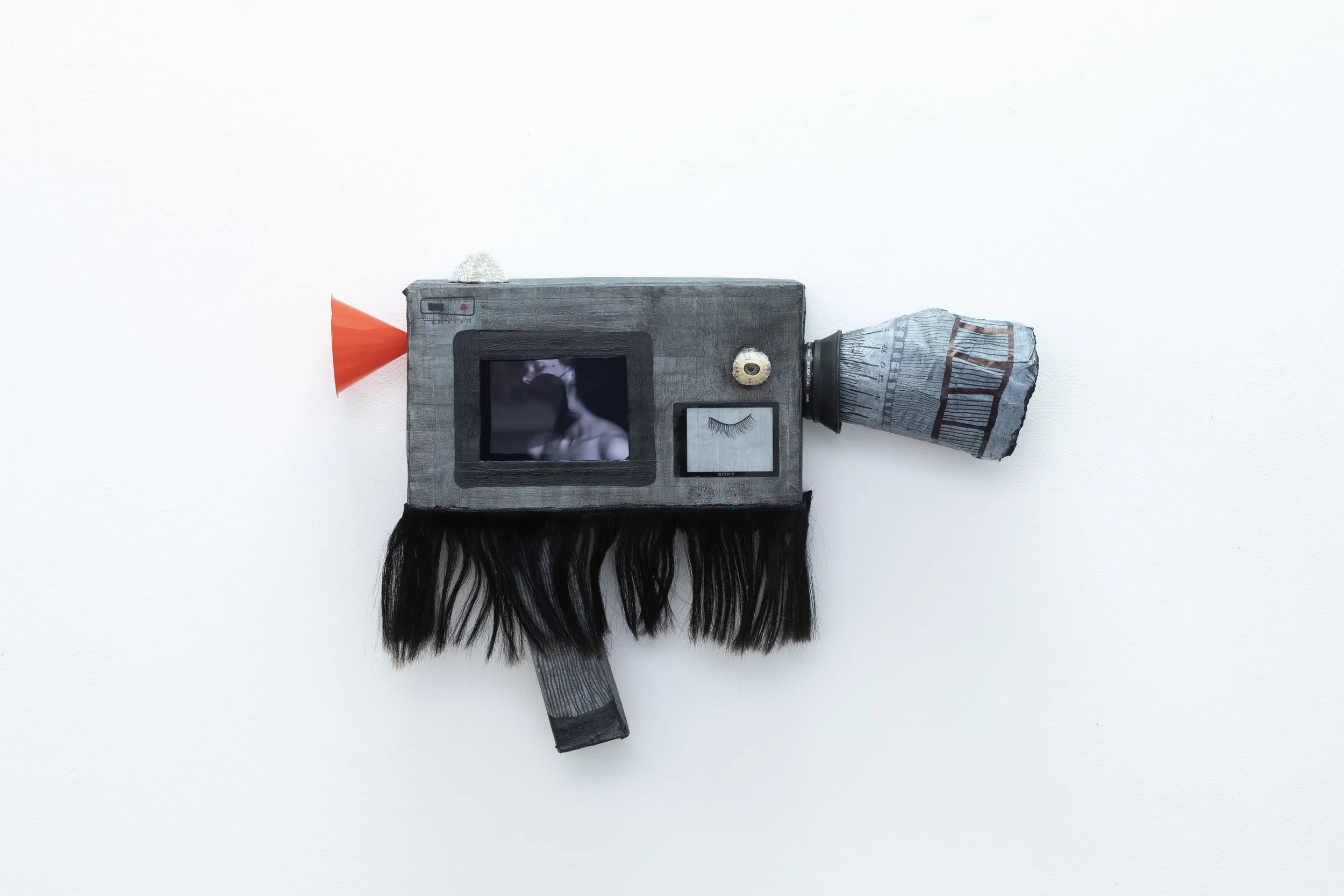 vue de l’exposition « arrière-train fantôme » de Marie Losier Galerie Anne Barrault 2026 SOLO SHOW