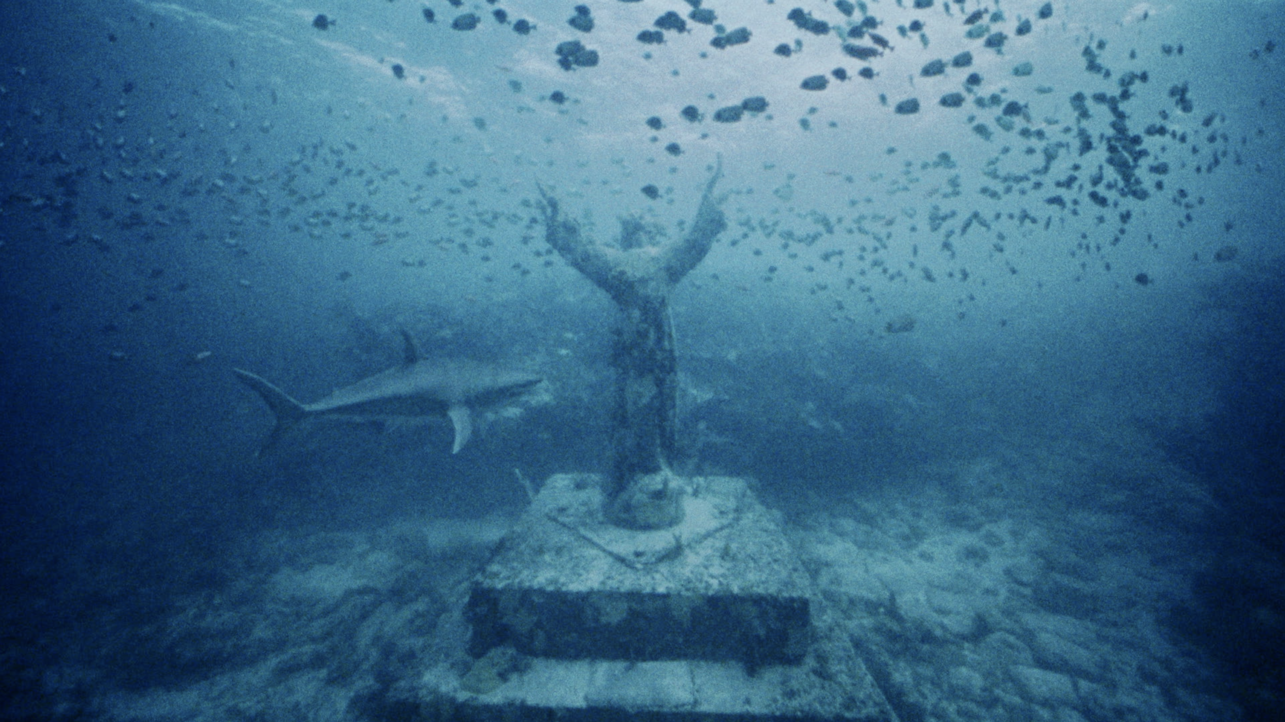 J BALVIN x DUA LIPA x BAD BUNNY x TAINY [ONE DAY]
