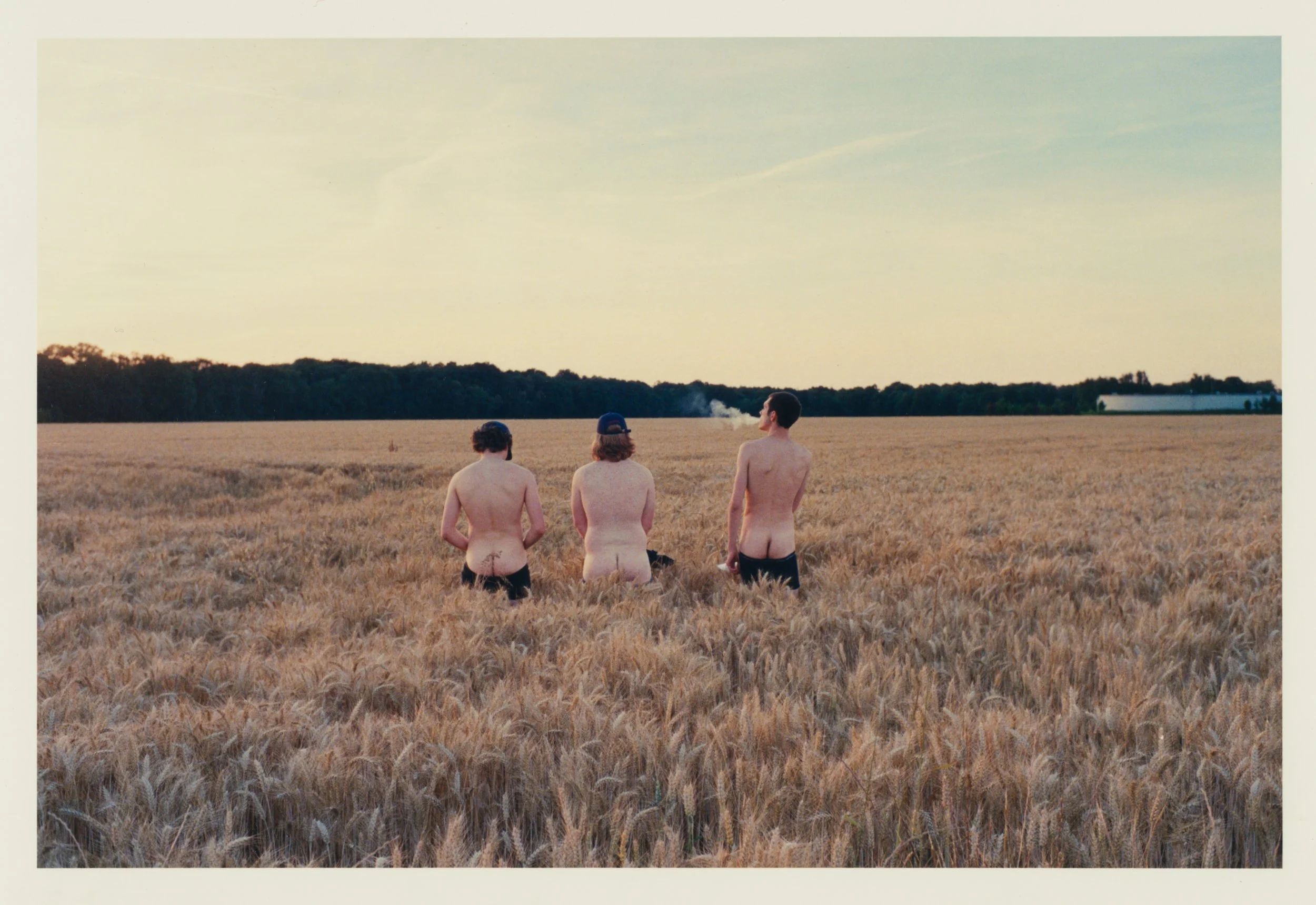 35847_MVA_CornfieldBoys_Diffusion.JPG