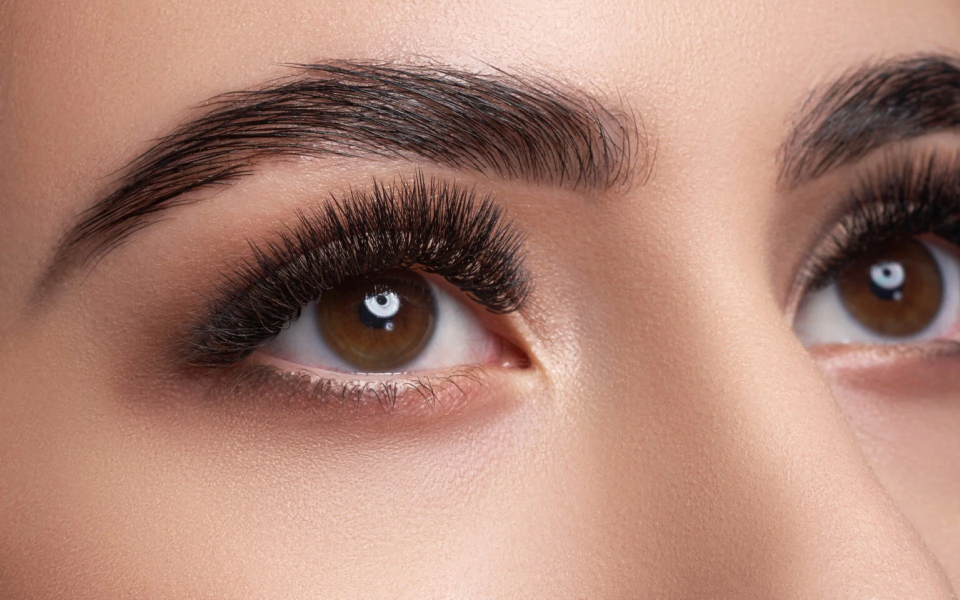 Close-up of a person's brown eyes with long, dark eyelashes and well-groomed eyebrows.