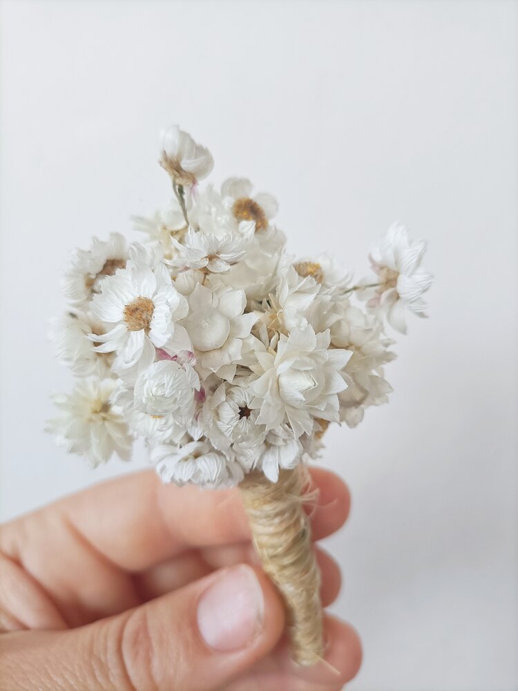 Buttonholes. Dried Flowers NZ.jpg