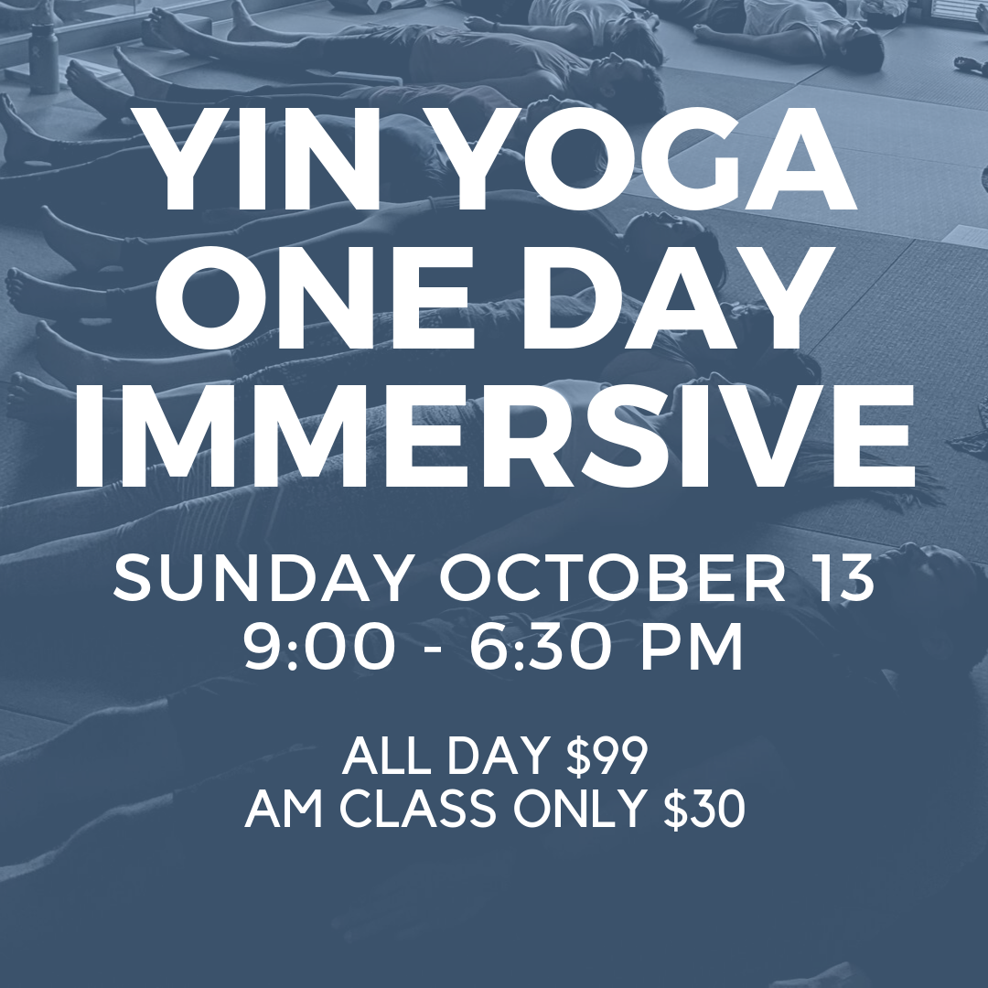 Yin Yoga One Day Immersive