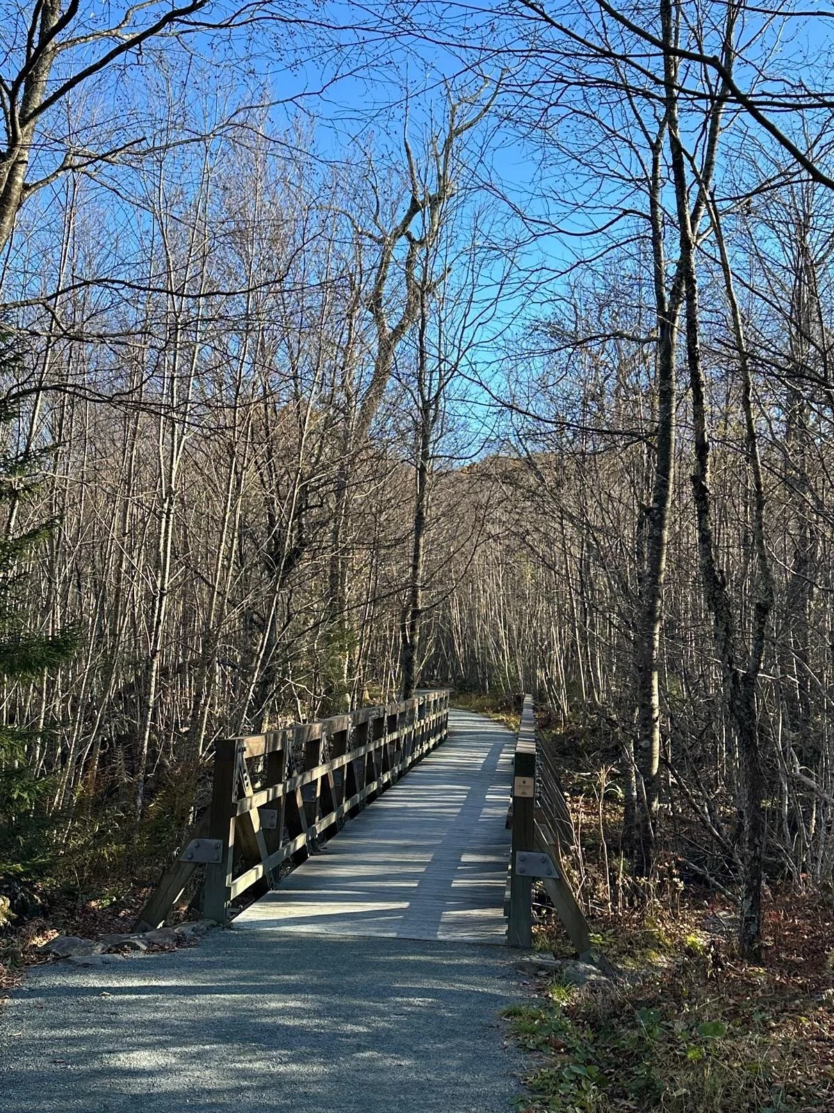 TGIF Yogis! 
π
 Save the date! 
Join Diana and the yogis for a “BYR Community Nature Walk” at an easy trail in Germantown on Saturday, November 8 at 1pm (weather permitting). You will get the exact location upon registration.  Let&rsquo