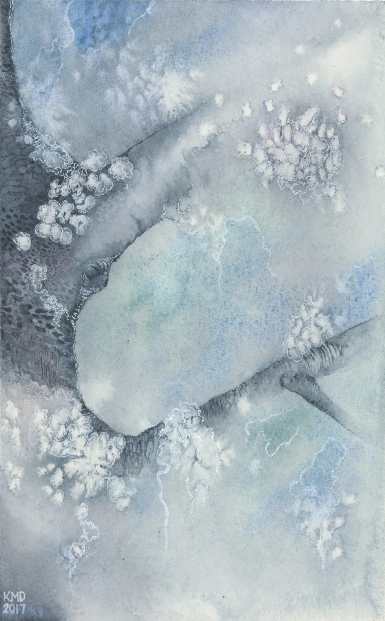 White Blossoms in Snow