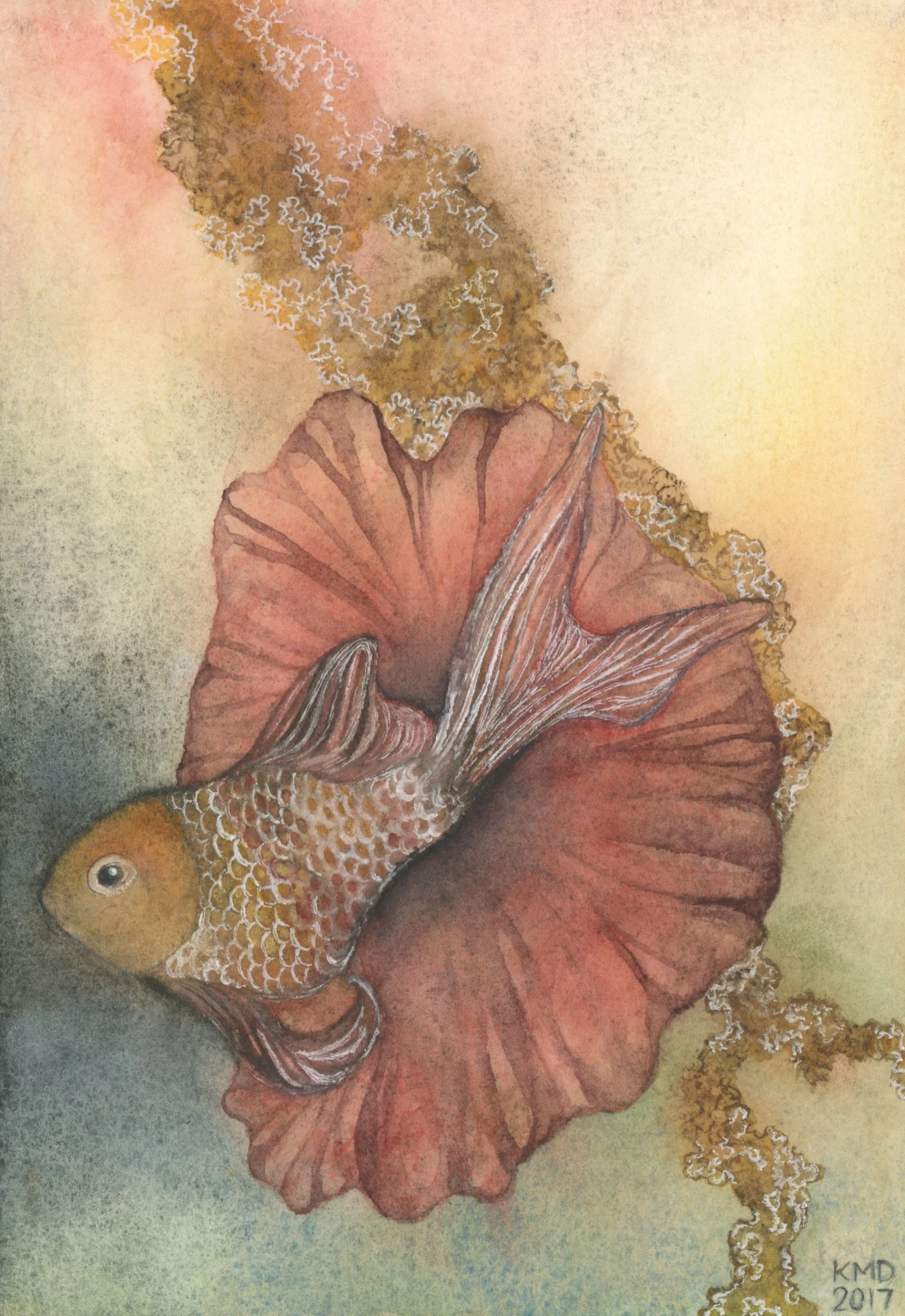 Flower Fish and Coral