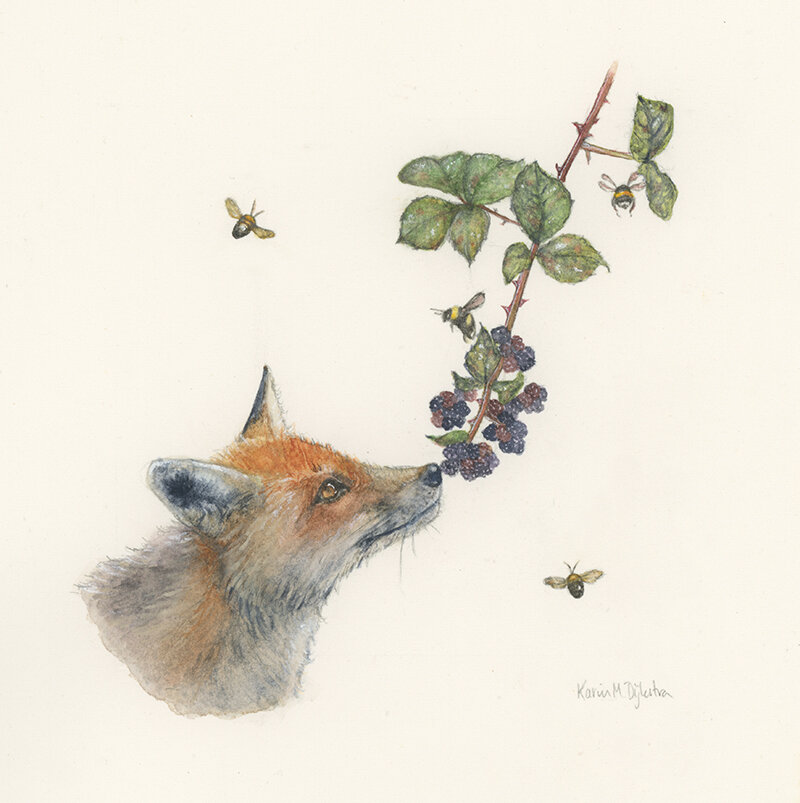 Fox with Berries