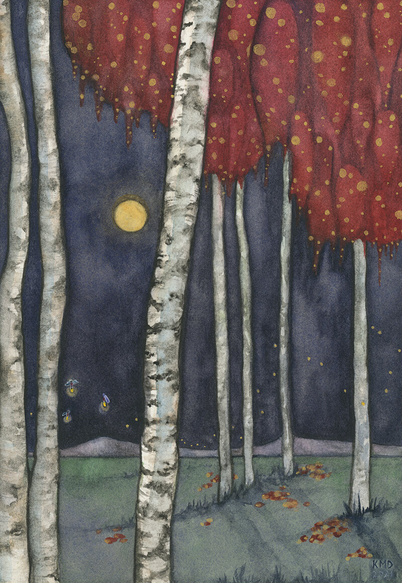 Birch Trees at Night