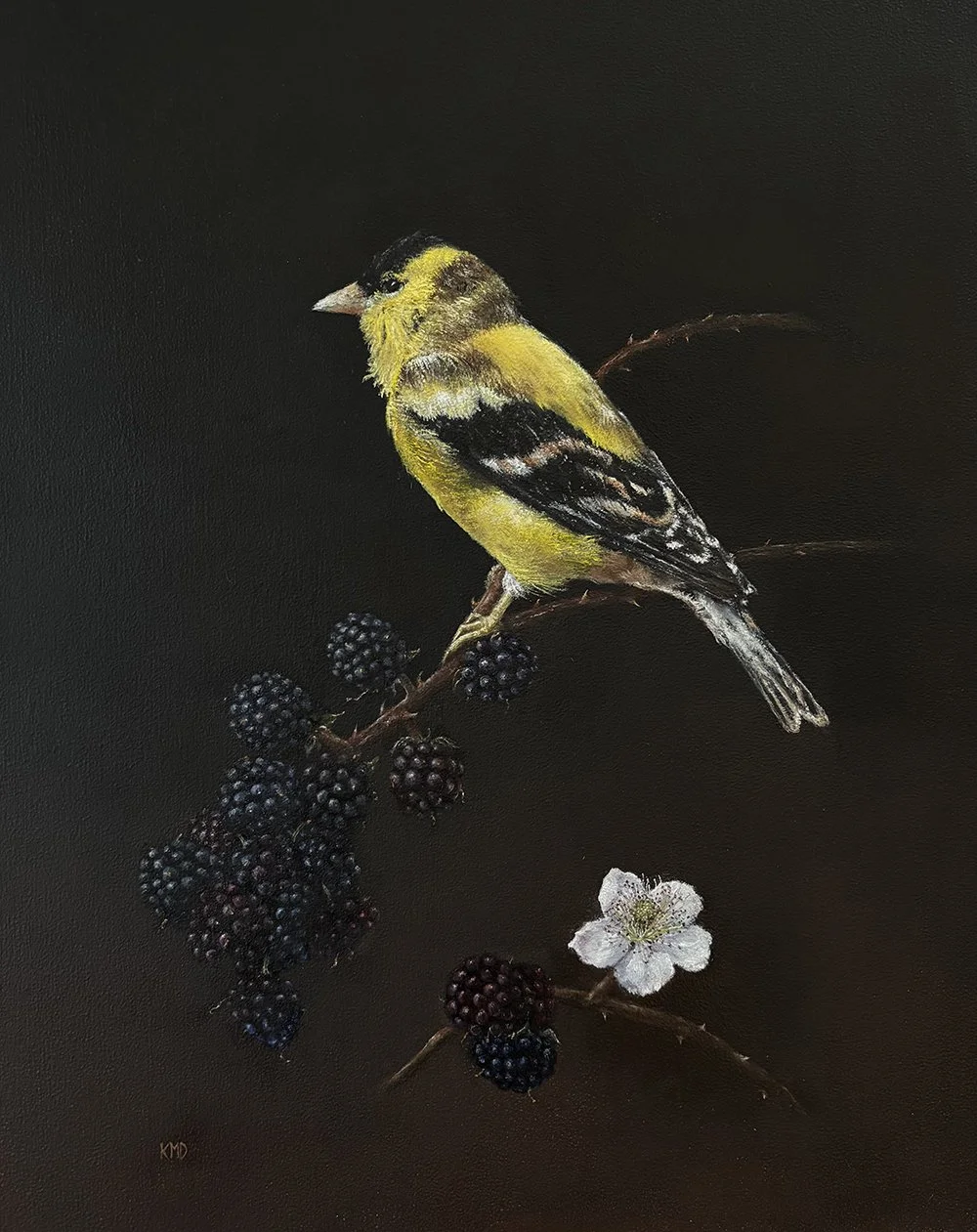 Goldfinch with Blackberries small.jpg