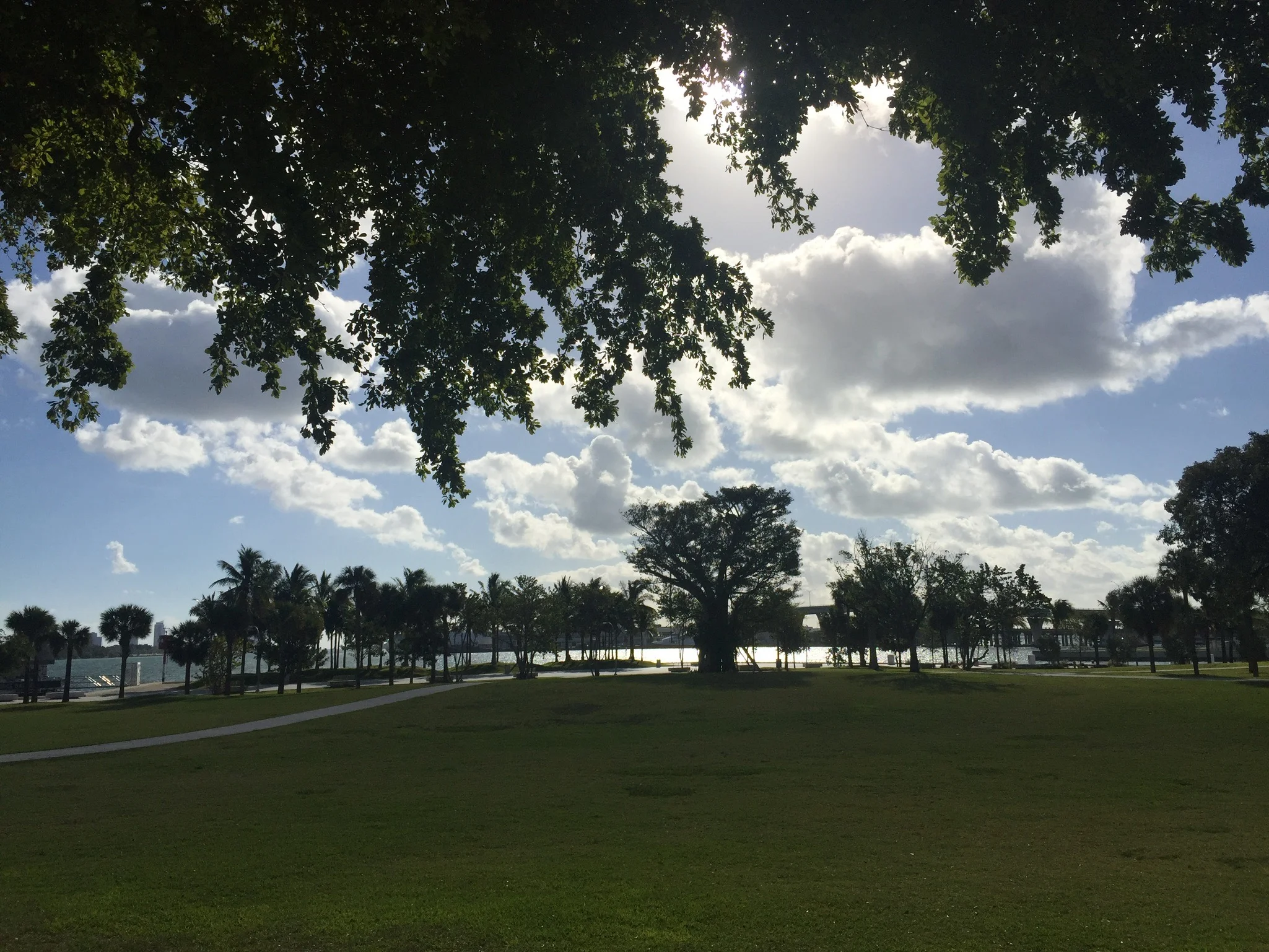 Museum Park by Nadia Bouzid